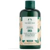 The Body Shop Shea Intense Repair Šampūnas sviestmedžių atkuriamasis šampūnas, 250 ml