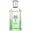 Tommy Hilfiger Tommy Boy Summer Edition EDT tualetinis vanduo vyrams, 100 ml
