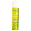 Umberto Giannini Scalp Refresh Vegan & Cruelty-Free Hair Sausas šampūnas Volumising & Refreshing, 200 ml