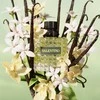 Valentino Donna Born In Roma Žalias Stravaganza EDP parfumuotas vanduo moterims, 100 ml