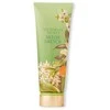 Victoria Secrets Victoria´s Secret Melon Drench Losjonas kūnui kūno losjonas, 236 ml