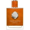Vince Camuto Terra EDT tualetinis vanduo vyrams, 100 ml