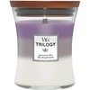 Woodwick Aromatinė žvakė (Trilogy Amethyst Sky), 275 g