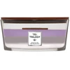WoodWick Aromatinė žvakė (Amethyst Sky), 453,6 g
