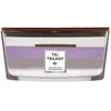WoodWick Aromatinė žvakė (Amethyst Sky), 453,6 g
