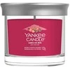 Yankee Candle Tumbler Santa On Skis kvepianti žvakė, 122 g