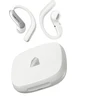 Ausinės Translator Earbuds TimeKettle LiveTalk (Sidabrinis)