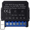Avatto WiFi WPM16-2 smart bi-directional energy meter
