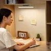 Baseus Magnetic Stepless lempa su jutikliniu skydeliu (pilka)