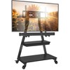 43-80" Televizoriaus laikiklis Perlegear PGFS08-US