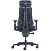 LiberNovo Omni 48 cm Ergonomic Chair (Juodas)