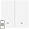 MOES ZT-B-EU2 ZigBee 2-Button Scene Switch