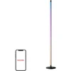 SWITCHBOT Floor Lamp RGBICWW