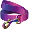 WAUDOG gradientinis nailoninis pavadėlis šuniui, 15 mm pločio, 122 cm ilgio, violetinis