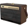 Belaidis Bluetooth garsiakalbis W-KING K6L 120W (rudas)