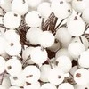 Springos Dirbtiniai šermukšniiai, balti 12 mm 20 vnt.