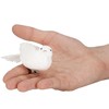 Springos CA1043 OZDOBA ŚWIĄTECZNA "PTAKI" 5X8 CM