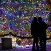Kalėdinė girlianda Springos CL0526, 500 LED, 41,5 m