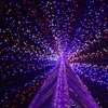 Kalėdinė girlianda Springos CL0526, 500 LED, 41,5 m
