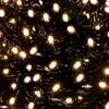 Kalėdinės lemputės Springos CL1003 1000 LED 60 m