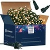 Kalėdinės lemputės Springos CL1003 1000 LED 60 m