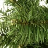 Kalėdų eglutė ant kamieno Springos 160 cm