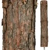 Kalėdų eglutė Springos Snieguota eglė ant kamieno 220 cm