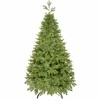 Kalėdų eglutė Springos CT0144 220 cm