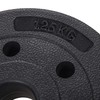 Svoriai Springos FA1023 1,25 kg
