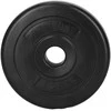 Svorio diskas Springos FA1505, 1,25 kg, 31 mm