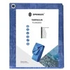 Brezentas Springos 6x9 m mėlynas 60 g/m²