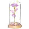 Rožė stikle Springos 22 cm