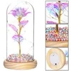 Rožė stikle Springos 22 cm