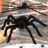 Helovino voro dekoracija Springos, 90 cm