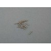 AUTENTIŠKAS OEM BMW E34 E36 Durų Užrakto Cilindro Kairysis Remonto Rinkinys 51218135959 Naujas