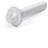 BMW E81 tepalo filtro korpuso varžtas Originalus 11427540763