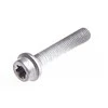 BMW E87 Torx varžtas su apykakle Originalus 11517789351