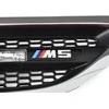 BMW F10 Dešinės Pusės Priekinis Grotelis Originalus 51134805798