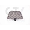 BMW Išorinis Radiatoriaus Dangtelis 5 G30 7 G11 Originalus 51717340195