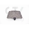 BMW Išorinis Radiatoriaus Dangtelis 5 G30 7 G11 Originalus 51717340195