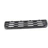Bmw Mini F55 F56 Priekinio Buferio Apatinės Centrinės Grotelės Originalus 51117360738