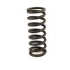 BMW suspaudimo spyruoklė 21522227764