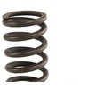 BMW suspaudimo spyruoklė 21522227764