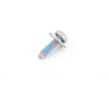 BMW T30 varžtas su Torx galvute M6x1.00x20 mm, 10.9 klasė 07119908042 GENUINALUS