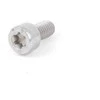BMW Torx Varžtas M6 x 1,00 x 12 mm 8,8 Klasės Originalus 07129905867