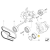 Bmw Umlenkrolle E60 E61 E63 E64 2002 2010 Originalus 11287802146