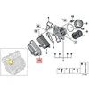 BMW variklio alyvos aušintuvo dangtelis 11427537294 Originalus