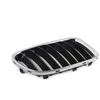 BMW X1 E84 Priekinis Dešinysis Grillis Originalus 51112993306