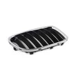 BMW X1 E84 Priekinis Dešinysis Grillis Originalus 51112993306