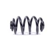 Bmw X3 E83 Galinė Statinės Spyruoklė Originalus 33533413080
